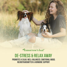 Load image into Gallery viewer, Tomorrow's Leaf® De-Stress & Relax Away