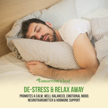 Load image into Gallery viewer, Tomorrow's Leaf® De-Stress & Relax Away