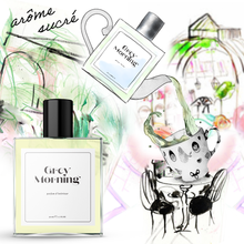Load image into Gallery viewer, Grey Morning parfum d’intérieur by Flowering Pharmacy®